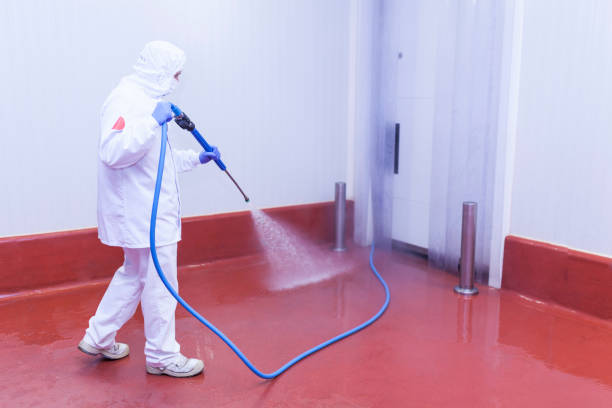 Best Post-Construction Pressure Washing  in North Sea, NY